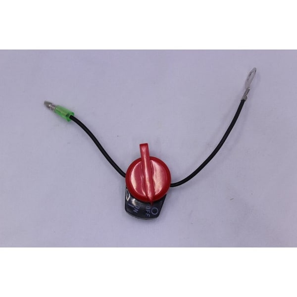 Switch Ignition